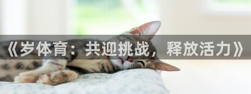 919体育直播最新更新：《岁体育：共迎挑战，释放活力》