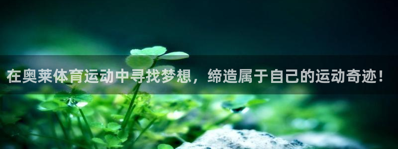 919体育直播最新更新：在奥莱体育运动中寻找梦想，缔造属于自己的运动奇迹！