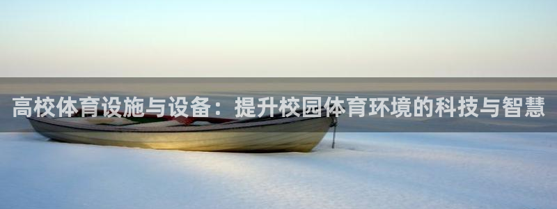 919体育平台注册格式：高校体育设施与设备：提升校园体育环境的科技与智慧