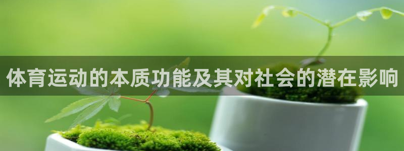 919体育直播间：体育运动的本质功能及其对社会的潜在影响